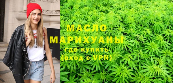 шишки Каменка